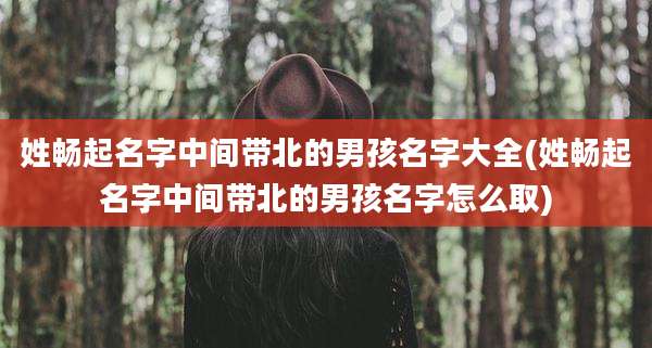 姓畅起名字中间带北的男孩名字大全(姓畅起名字中间带北的男孩名字怎么取)