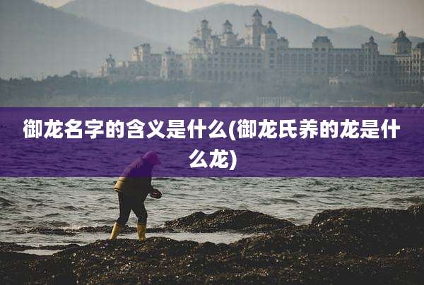 御龙名字的含义是什么(御龙氏养的龙是什么龙)