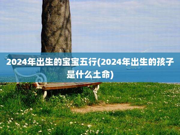 2024年出生的宝宝五行(2024年出生的孩子是什么土命)