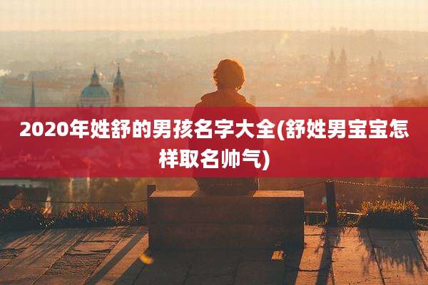 2020年姓舒的男孩名字大全(舒姓男宝宝怎样取名帅气)