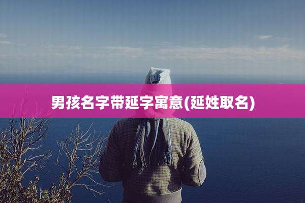 男孩名字带延字寓意(延姓取名)