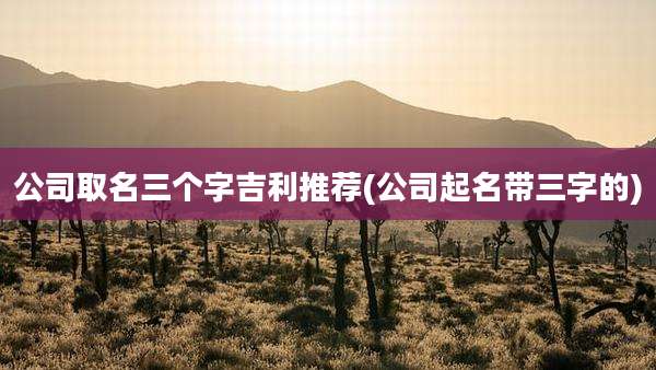 公司取名三个字吉利推荐(公司起名带三字的)