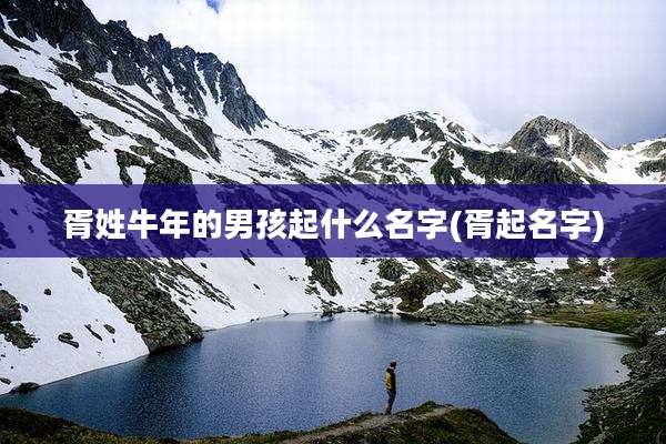 胥姓牛年的男孩起什么名字(胥起名字)