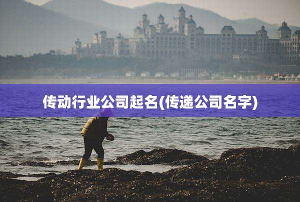 传动行业公司起名(传递公司名字)
