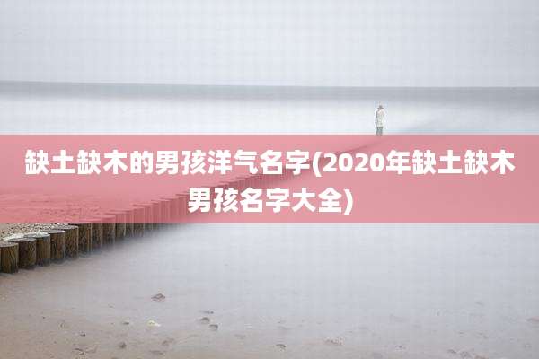 缺土缺木的男孩洋气名字(2020年缺土缺木男孩名字大全)