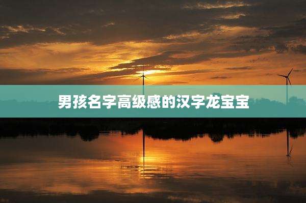 男孩名字高级感的汉字龙宝宝