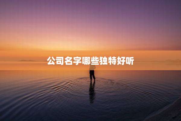 公司名字哪些独特好听