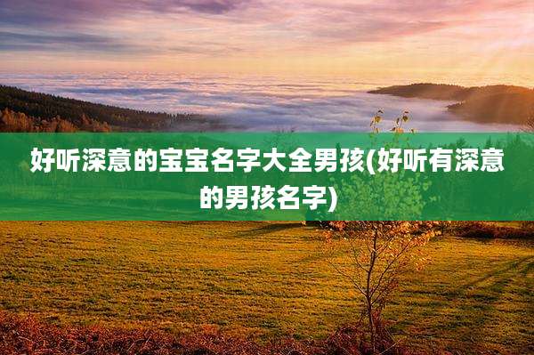 好听深意的宝宝名字大全男孩(好听有深意的男孩名字)