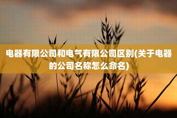 电器有限公司和电气有限公司区别(关于电器的公司名称怎么命名)