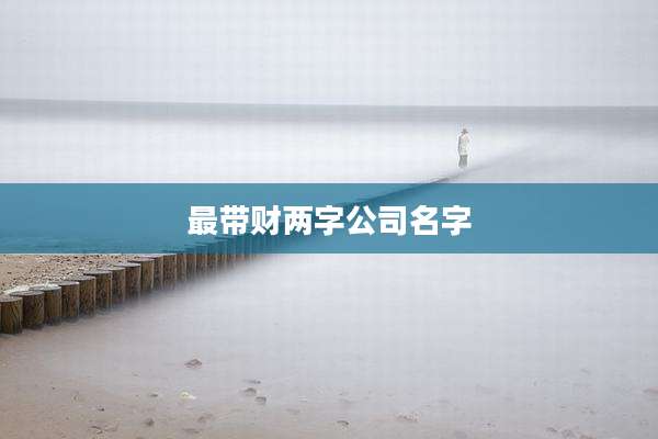 最带财两字公司名字