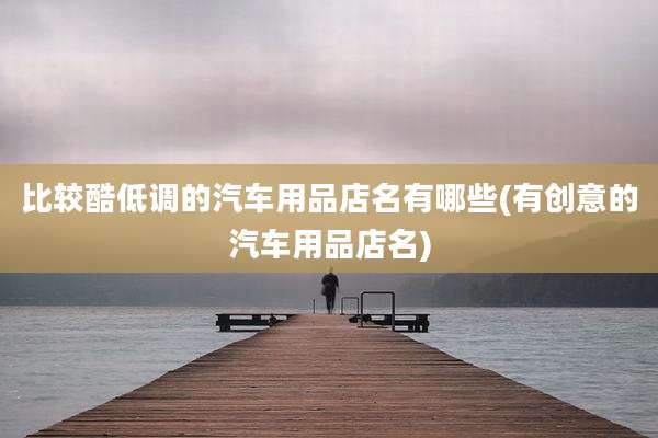 比较酷低调的汽车用品店名有哪些(有创意的汽车用品店名)