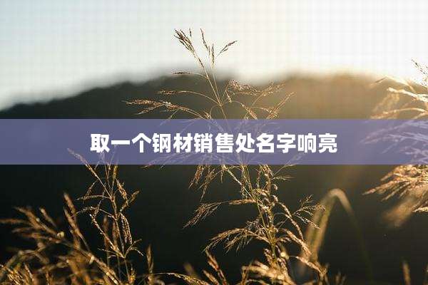 取一个钢材销售处名字响亮