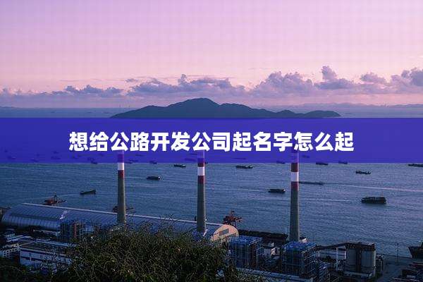 想给公路开发公司起名字怎么起