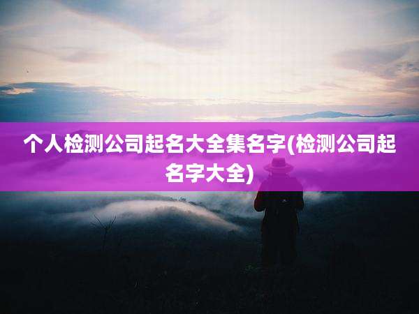 个人检测公司起名大全集名字(检测公司起名字大全)