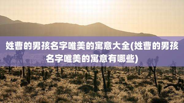 姓曹的男孩名字唯美的寓意大全(姓曹的男孩名字唯美的寓意有哪些)