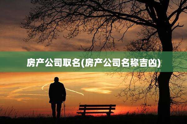 房产公司取名(房产公司名称吉凶)