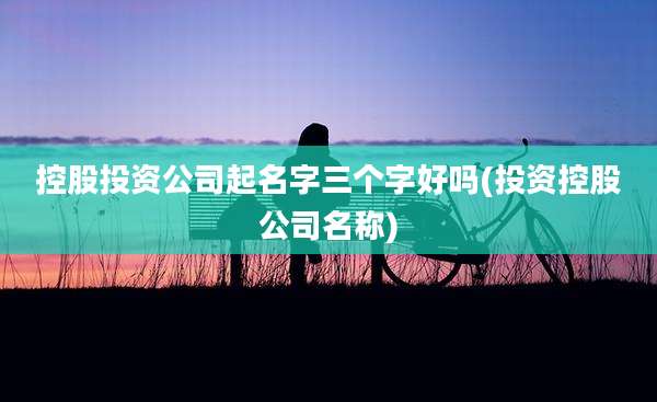 控股投资公司起名字三个字好吗(投资控股公司名称)