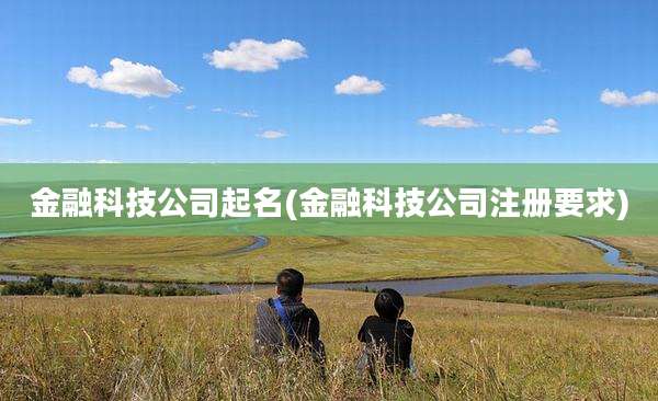 金融科技公司起名(金融科技公司注册要求)
