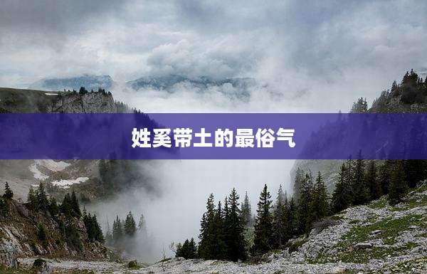 姓奚带土的最俗气