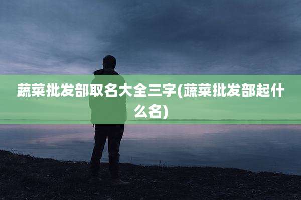 蔬菜批发部取名大全三字(蔬菜批发部起什么名)