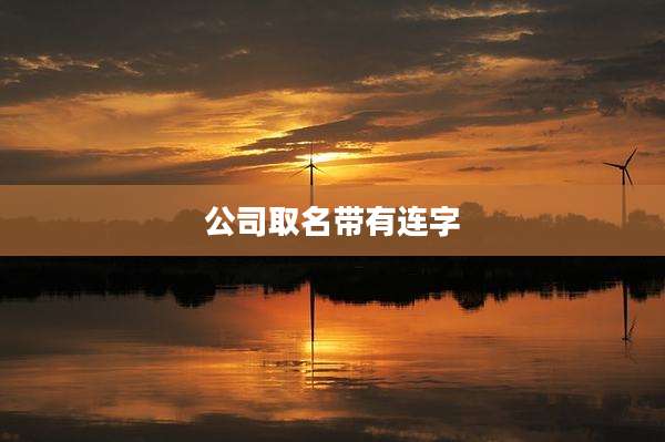 公司取名带有连字