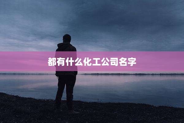 都有什么化工公司名字