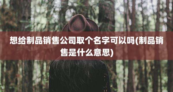 想给制品销售公司取个名字可以吗(制品销售是什么意思)
