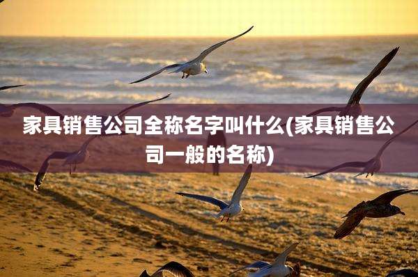 家具销售公司全称名字叫什么(家具销售公司一般的名称)