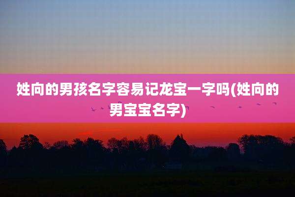 姓向的男孩名字容易记龙宝一字吗(姓向的男宝宝名字)