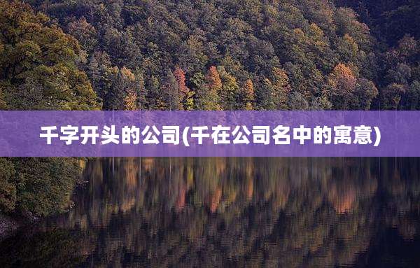 千字开头的公司(千在公司名中的寓意)