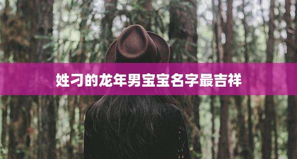 姓刁的龙年男宝宝名字最吉祥