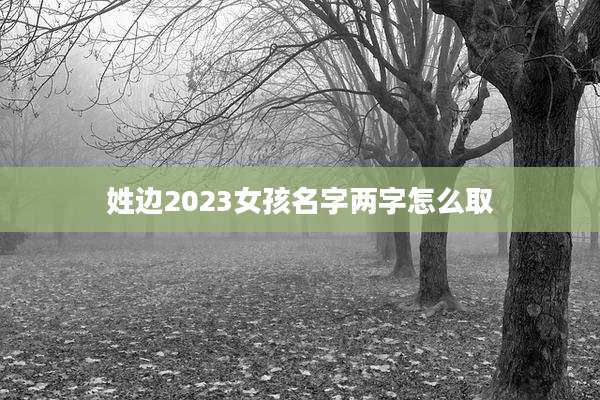 姓边2023女孩名字两字怎么取