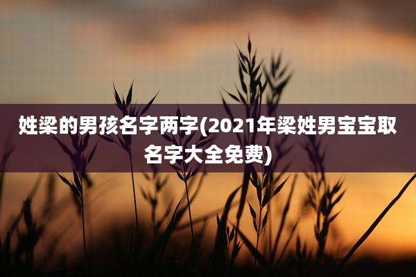 姓梁的男孩名字两字(2021年梁姓男宝宝取名字大全免费)