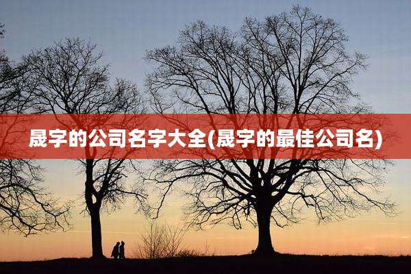 晟字的公司名字大全(晟字的最佳公司名)