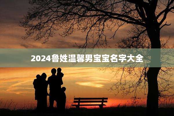 2024鲁姓温馨男宝宝名字大全