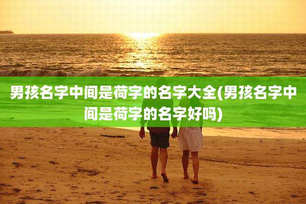 男孩名字中间是荷字的名字大全(男孩名字中间是荷字的名字好吗)