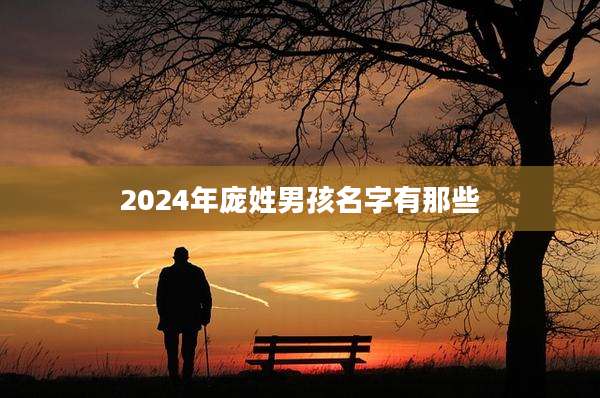2024年庞姓男孩名字有那些