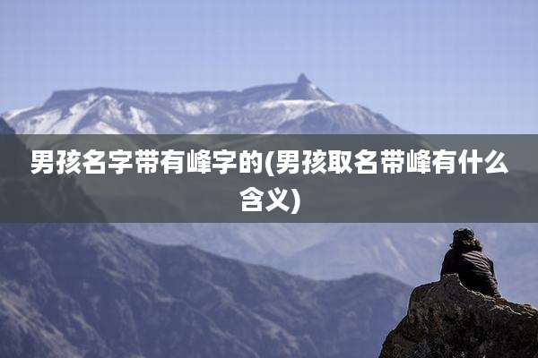 男孩名字带有峰字的(男孩取名带峰有什么含义)