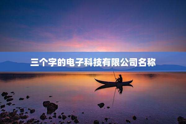 三个字的电子科技有限公司名称