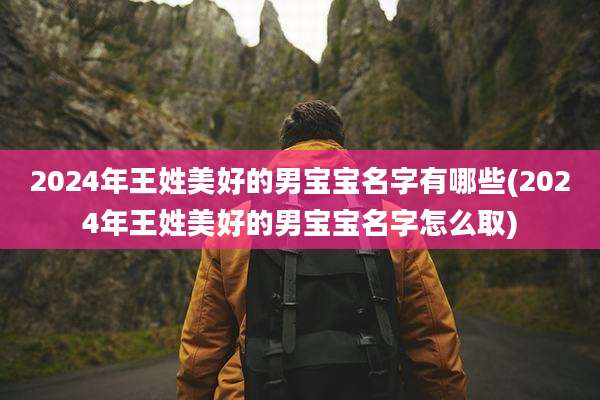 2024年王姓美好的男宝宝名字有哪些(2024年王姓美好的男宝宝名字怎么取)