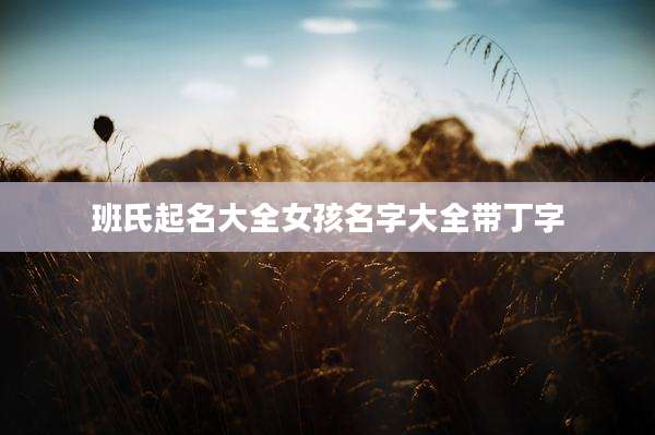 班氏起名大全女孩名字大全带丁字