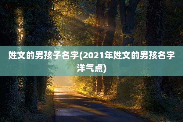 姓文的男孩子名字(2021年姓文的男孩名字洋气点)