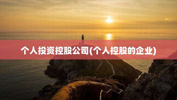 个人投资控股公司(个人控股的企业)
