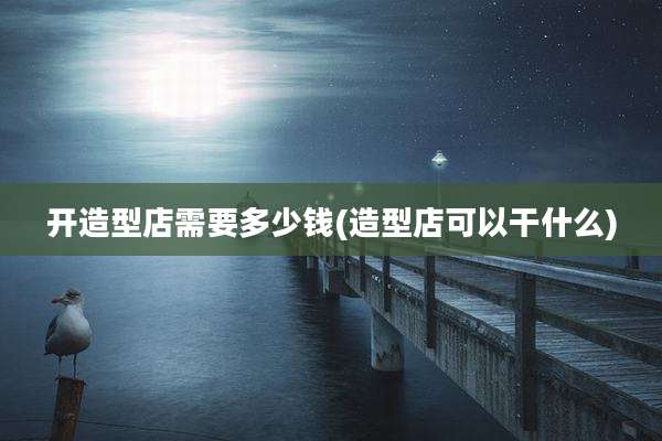 开造型店需要多少钱(造型店可以干什么)