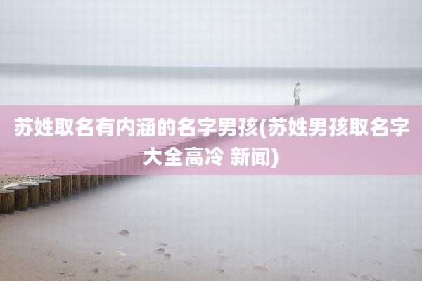 苏姓取名有内涵的名字男孩(苏姓男孩取名字大全高冷 新闻)