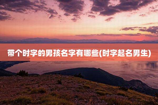 带个时字的男孩名字有哪些(时字起名男生)