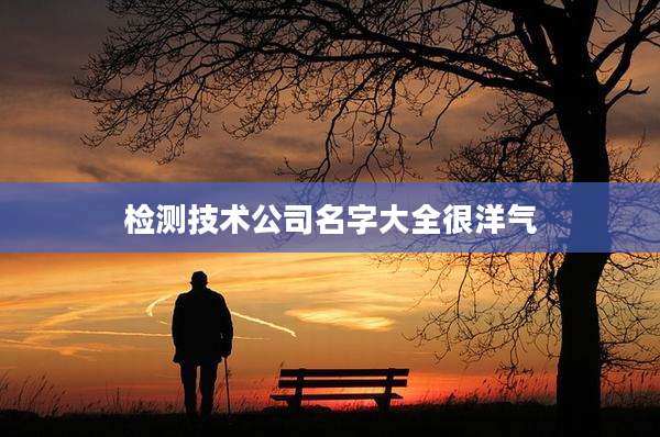 检测技术公司名字大全很洋气
