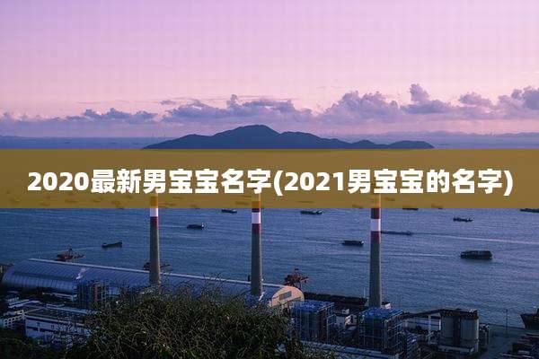 2020最新男宝宝名字(2021男宝宝的名字)