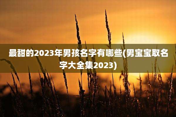 最甜的2023年男孩名字有哪些(男宝宝取名字大全集2023)