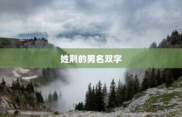 姓荆的男名双字